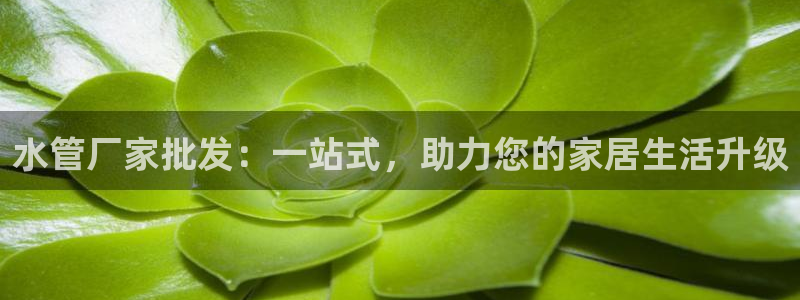 天辰娱乐 728567