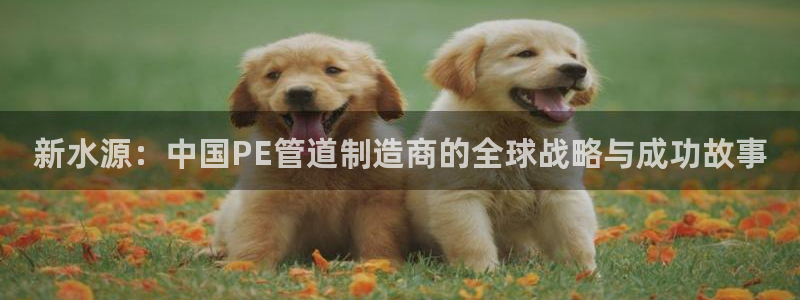 天辰辰娱乐代理