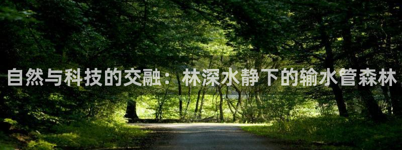 天辰娱乐平台安全吗