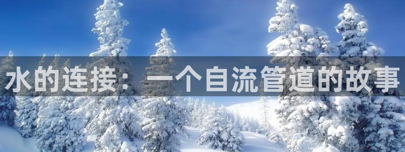 天辰辰娱乐代理