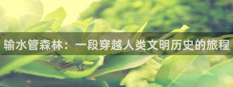 深圳天辰娱乐