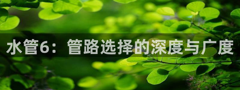 天辰娱乐所