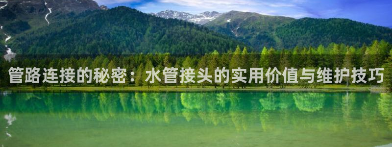 天辰娱乐上级