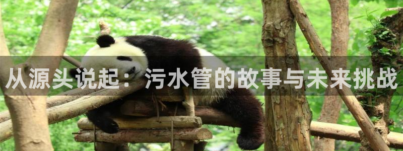 天辰娱乐赌博