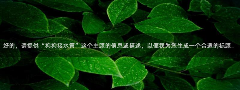 天辰娱乐主管