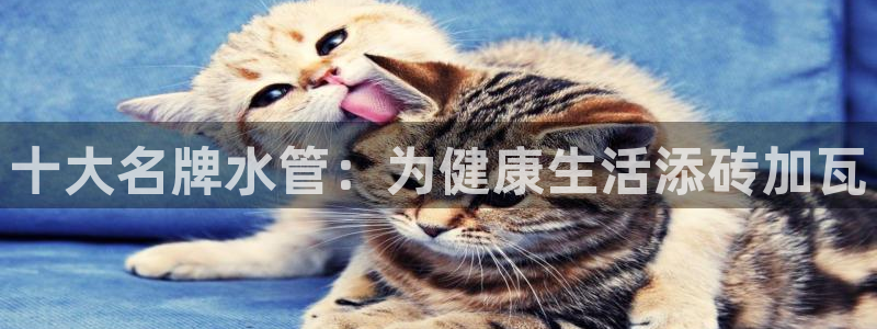 天辰娱乐2