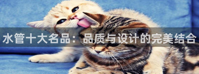 天辰娱乐开户