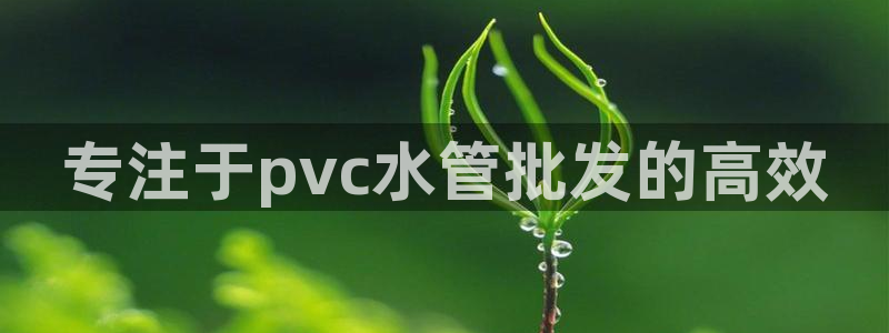 天辰国际娱乐