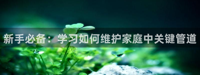 天辰娱乐白屏
