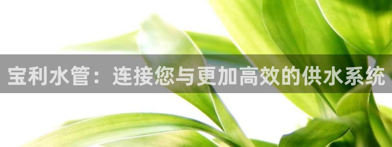 天辰娱乐电话