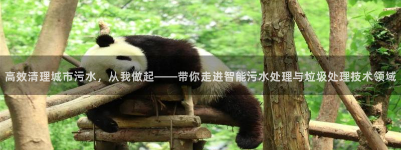 天辰娱乐集团