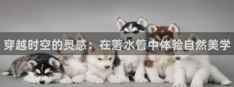 天辰娱乐7天22650