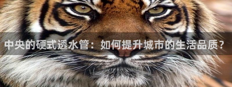 天辰娱乐84566