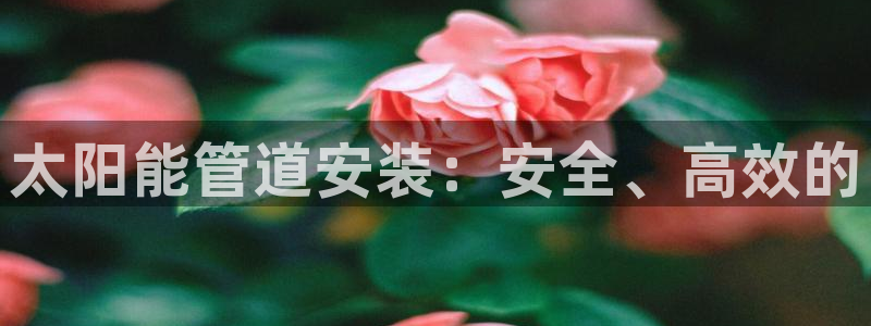 nba天辰娱乐