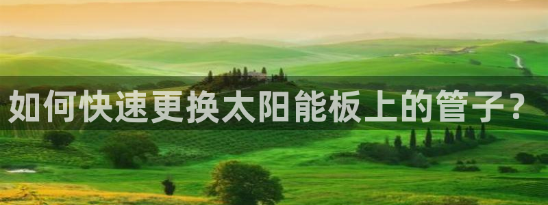 天辰娱乐APP下载