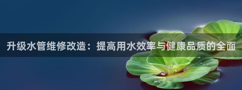 天辰娱乐十分彩