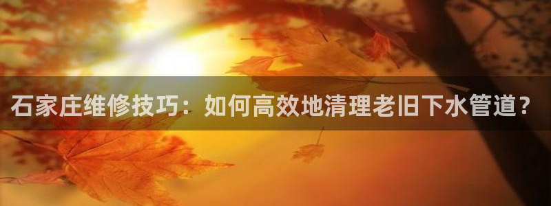 天辰娱乐电话