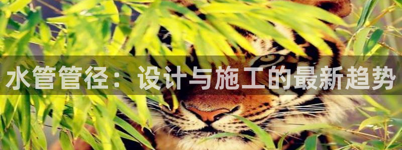 天辰娱乐平台地址