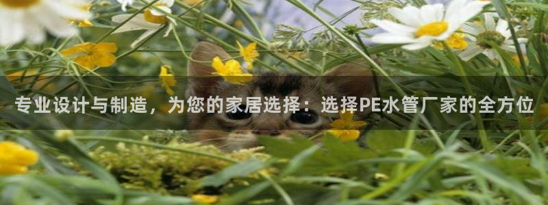 天辰水娱乐
