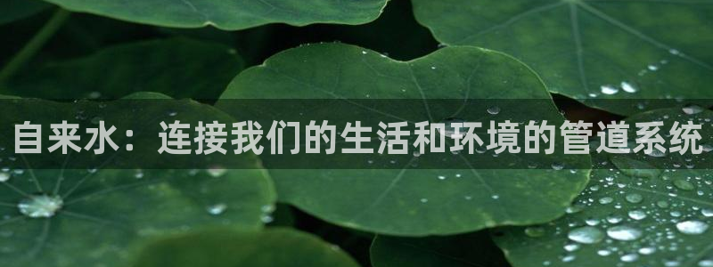 天辰娱乐 首选