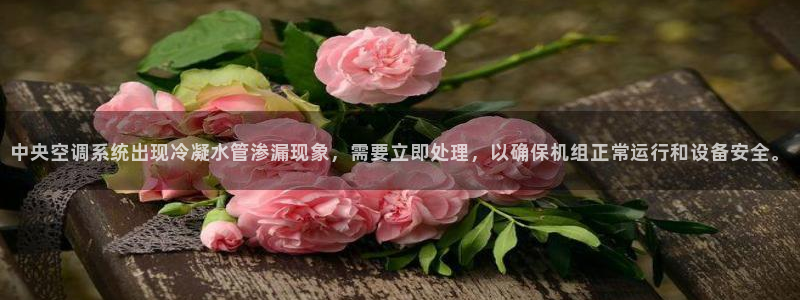 天辰娱乐tff