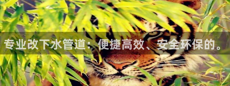 天辰娱乐简介