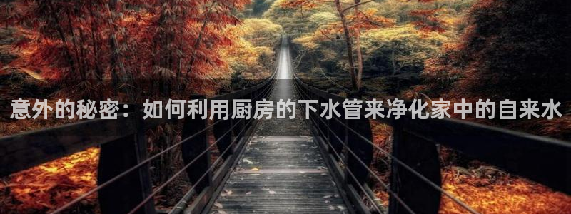 天辰娱乐小姐