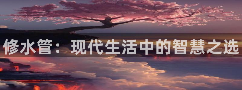 天辰娱乐所