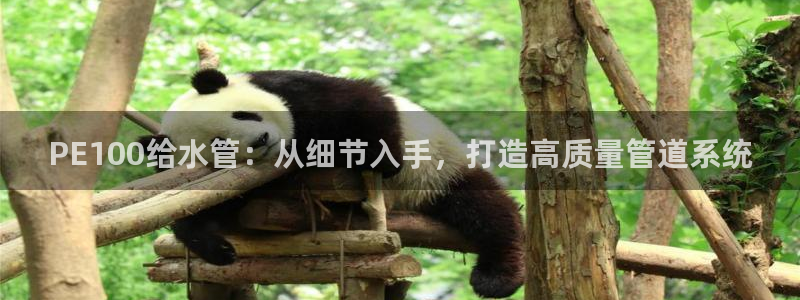 天辰娱乐游客