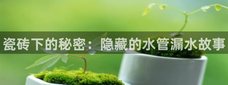 天辰娱乐下载地址