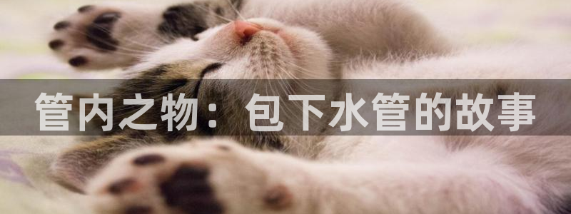 天辰娱乐好吗