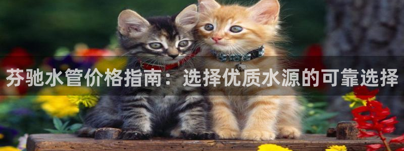 天辰娱乐首页