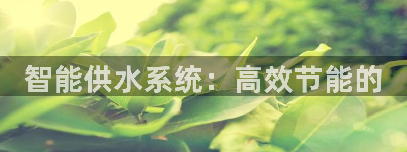 天辰娱乐路线