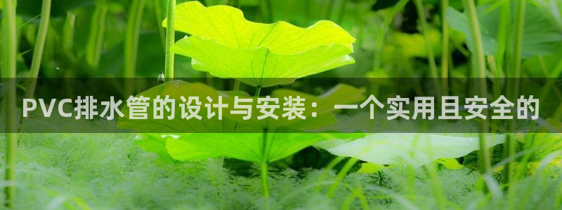 天辰娱乐在哪