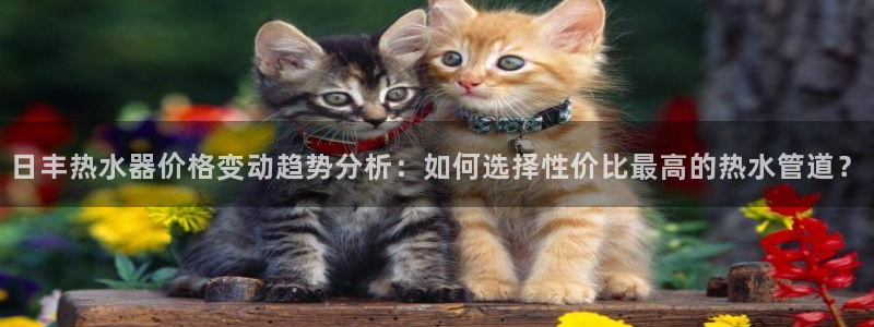 天辰娱乐电话