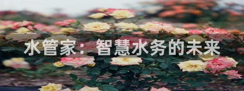 天辰娱乐-18113