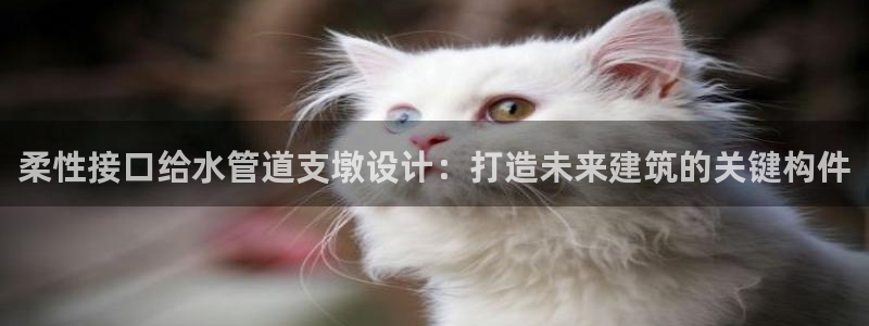 天辰娱乐在线登录注册