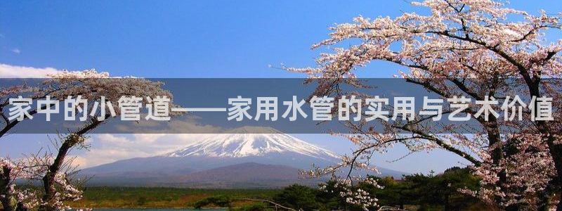 天辰娱乐557696