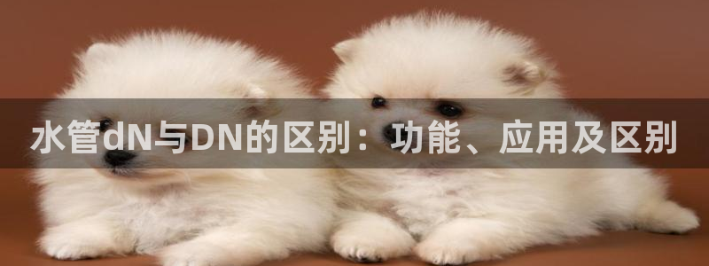 天辰娱乐公司