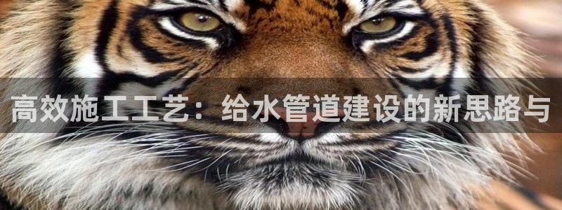 天辰娱乐欢乐