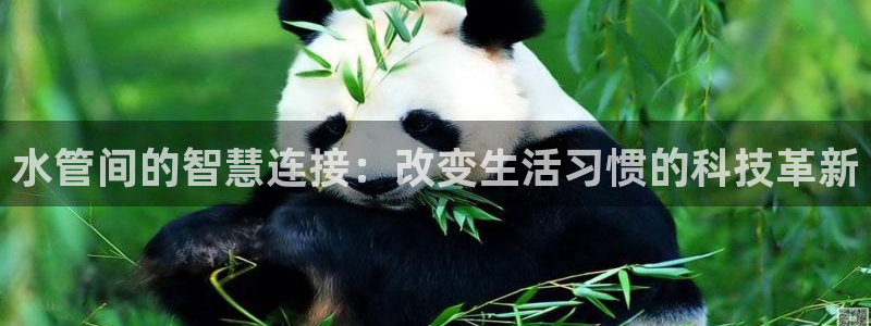 天辰娱乐白屏