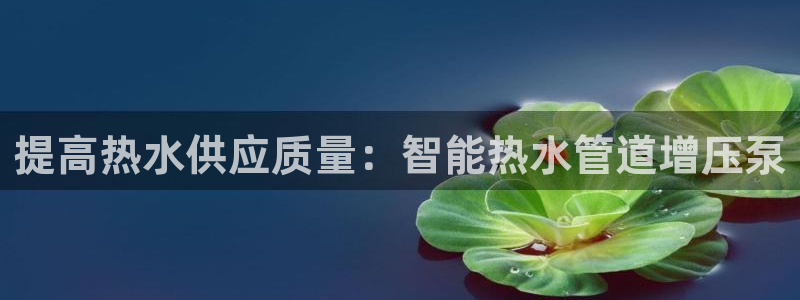 辰天娱乐用品
