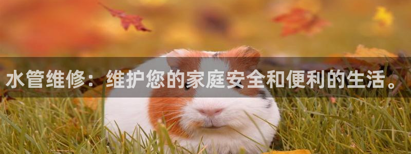 天富娱乐天辰娱乐