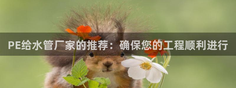 天辰娱乐天辰宝