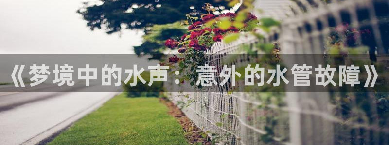 广东天辰娱乐