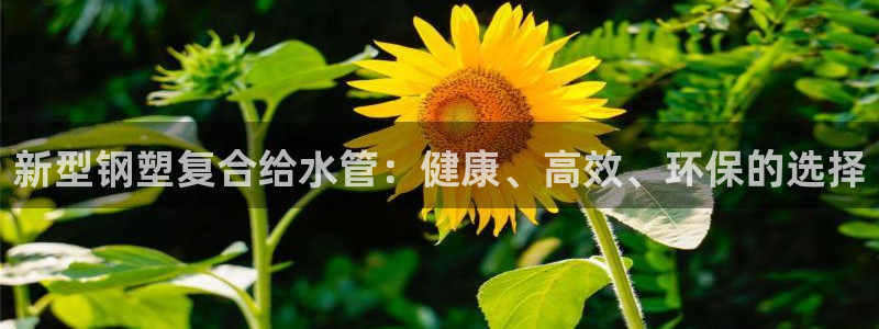 天辰娱乐测速