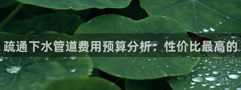天辰娱乐公司