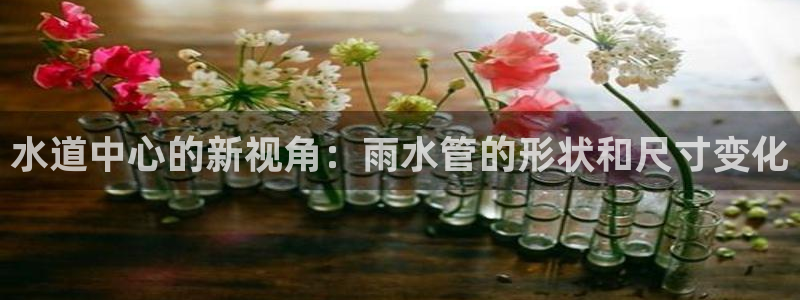 天辰娱乐APP下载