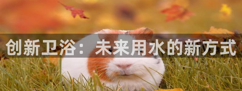 天辰娱乐登陆平台