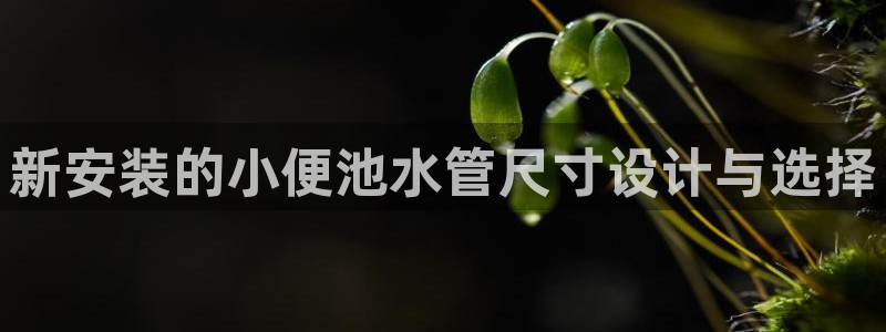 天辰娱乐天辰注册登录